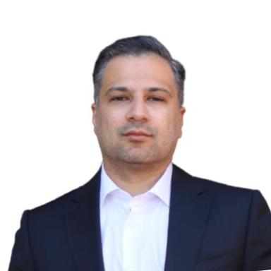 Amir - Project Management Expert
